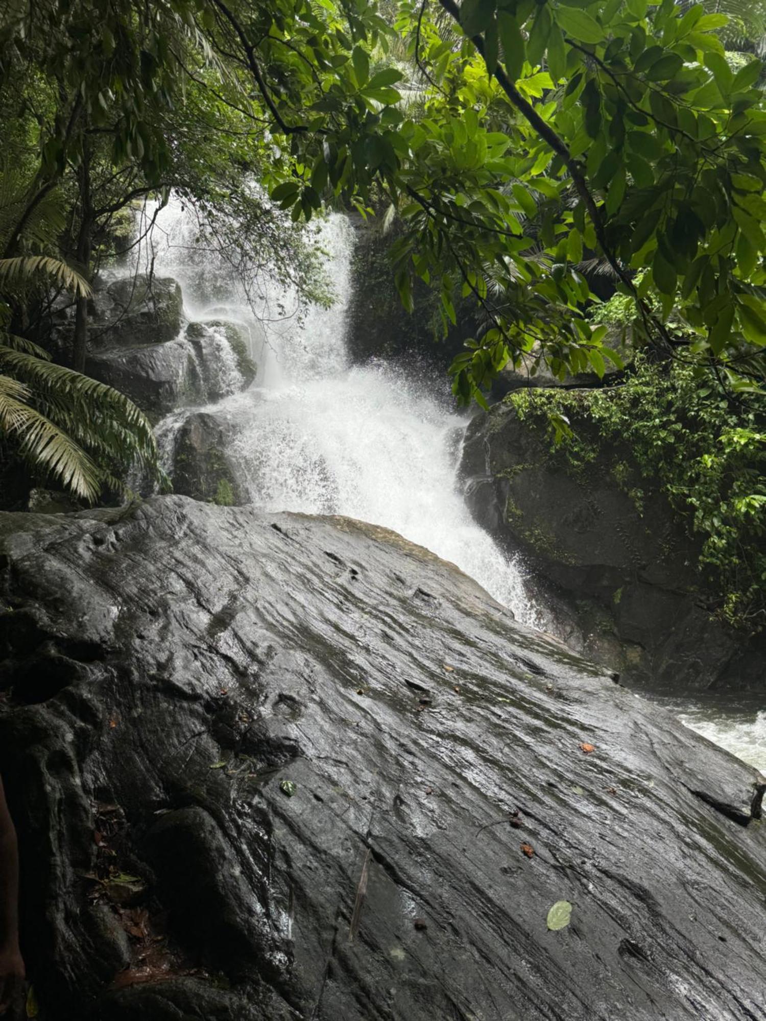 Casa Lucio Resorts Mannarakkat Luaran gambar
